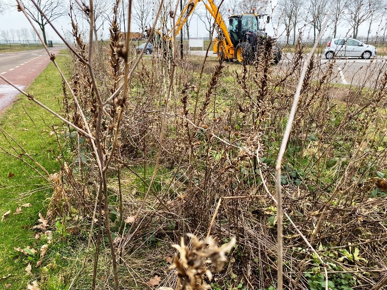 Meerjarige bloemvelden en -stroken kunnen na de winter ook met een klepelmaaier opgeruimd worden, idealiter in combinatie met een zuigwagen.