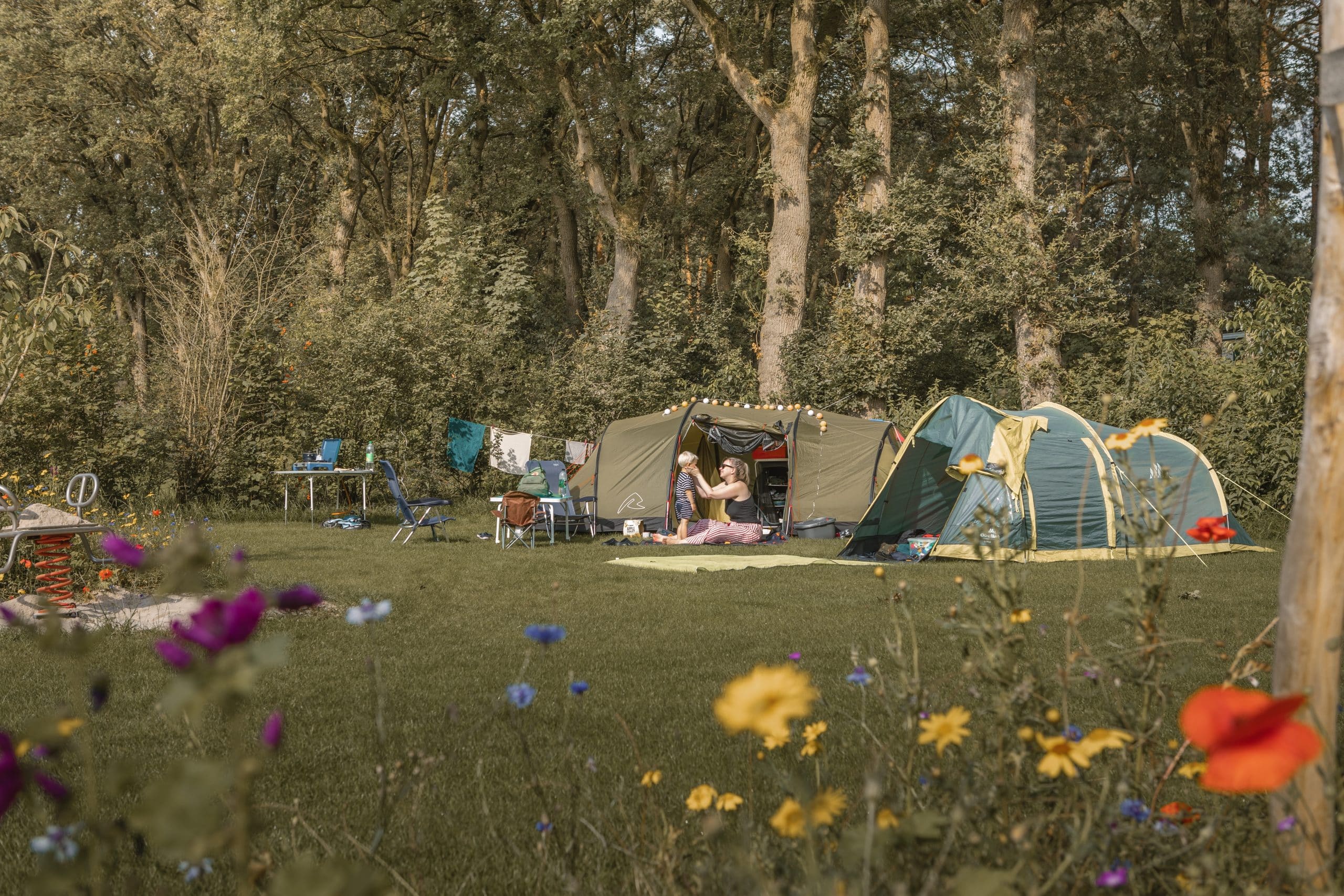 Kampeerplaatsen tussen gras en bloemrijke zones op De Lemeler Esch