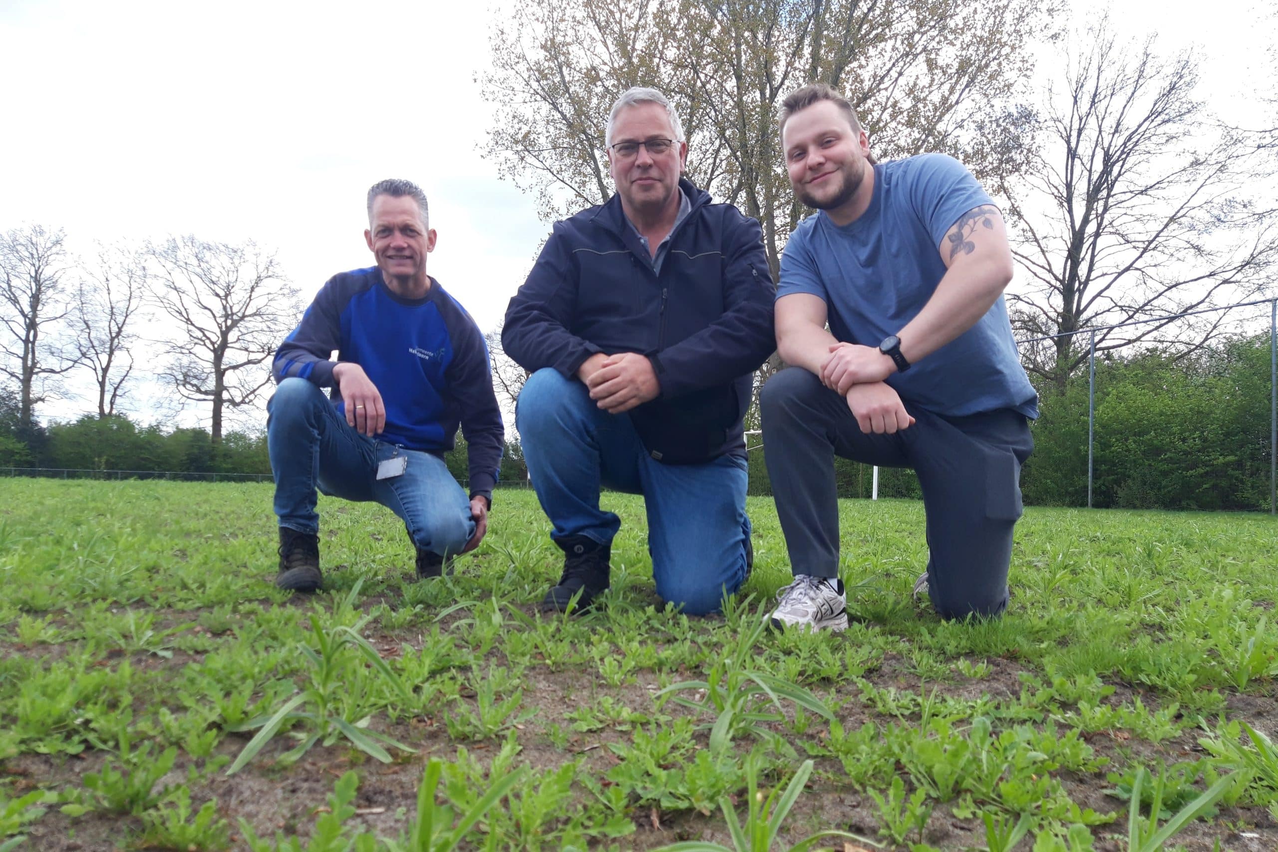 Jeroen Drent, Durand Spithoven en Hidde Braaksma in kruidenrijk veld