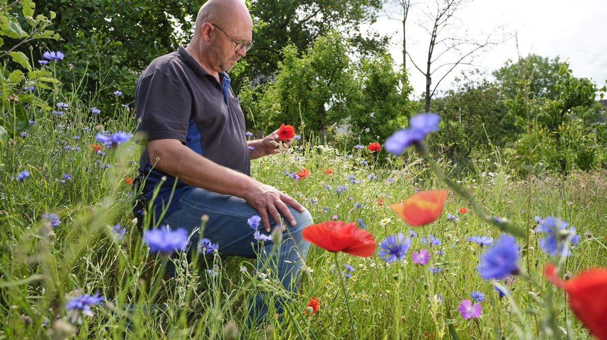 Job Steunenberg tussen een bloeiend veld met wilde bloemen